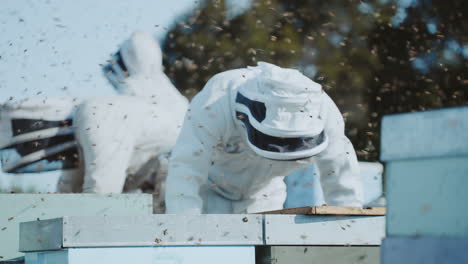 millions of bees flying around beekeepers doing maintenance on langstroth bee hives