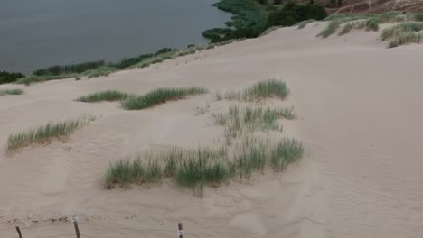 Toma-Aérea-Que-Comienza-En-Dunas-Grises,-En-El-Istmo-De-Curtlandia,-Revelando-El-Paisaje-Con-El-Mar-Al-Fondo