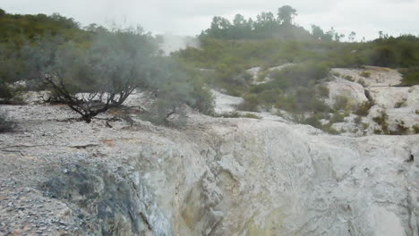 Fumes-of-volcanic-boiling-lake-rising-up-to-the-top-with-plants-and-bush---Geothermal-geyser-in-New-Zealand