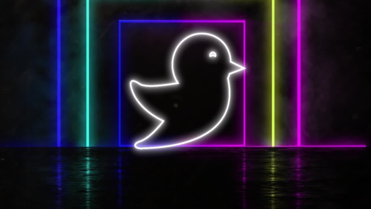 Animation af neonfugleikon over glødende neonmønster på sort baggrund