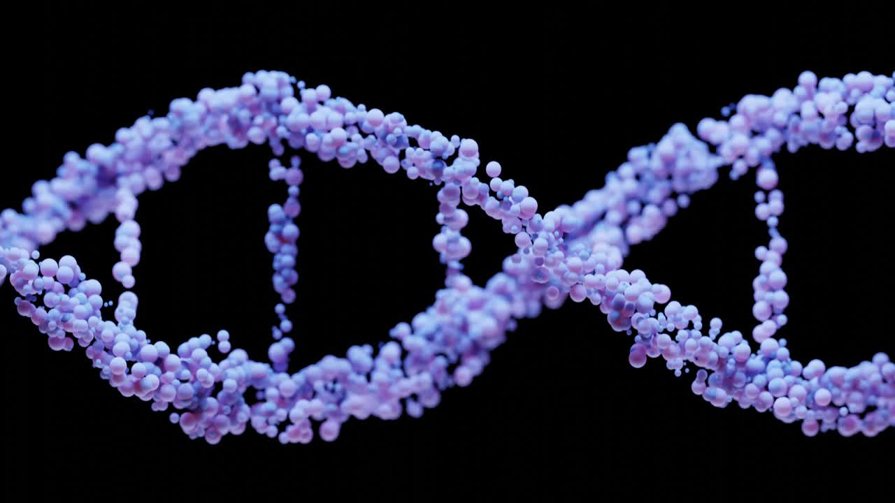 3d DNA structure in lavender or purple colour on a black background. Close-up. Rotation of the genetic spiral. Abstract 3D loop animation for medical and scientific presentations.