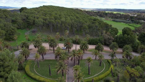 seppeltsfield road en el valle de barossa, australia del sur - disparo de un avión no tripulado