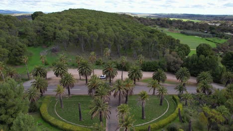 seppeltsfield road in the barossa valley, south australia - drone shot