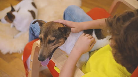 top view of blond boy sitting on the chair while swinging with his dog and caresses him