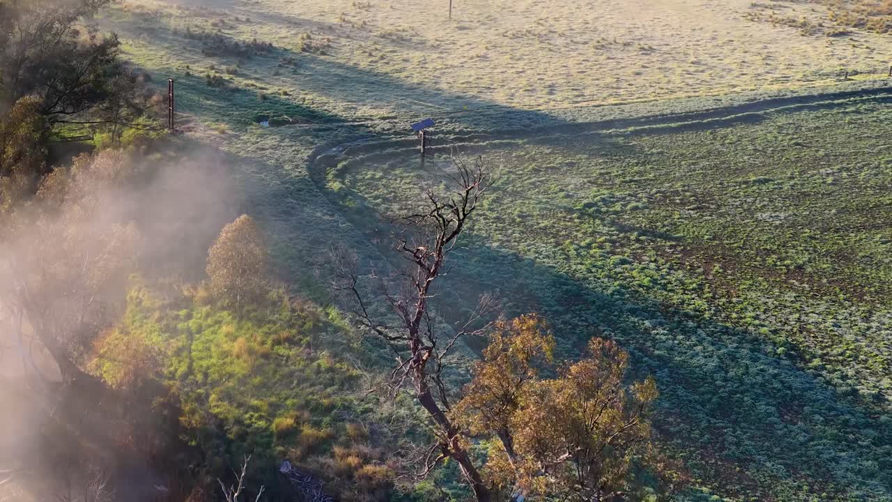 Drone glides above a frosty, fog-shrouded field with scattered trees in Tamworth, Australia. Early morning sunlight casts long shadows and highlights mist movement