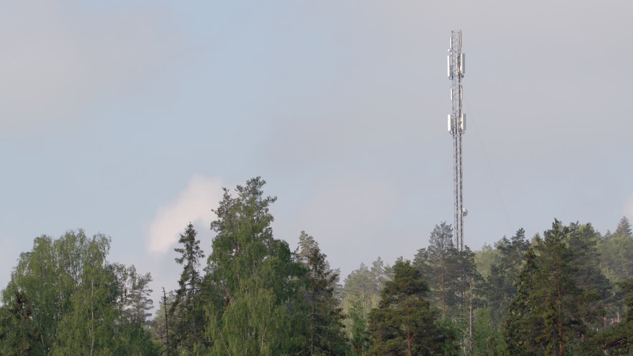 5g 셀 타워 마스트는 나무 선 위에서 통증 엄지 손가락처럼  ⁇ 어 있습니다.