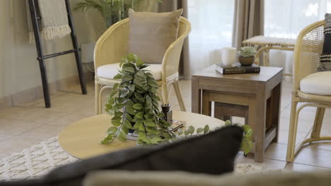 contemporary modern home close up of dining room, plant on coffee table