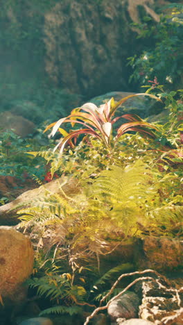 close up of ferns and tropical plants in a lush rainforest