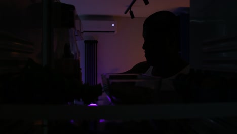 persona que come y bebe del refrigerador por la noche