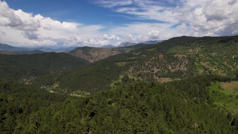 evergreen forest with pine and spruce trees, beautiful clouds over wilderness mountain landscape in albania