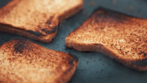 primer plano de 3 rebanadas de pan tostadas en una bandeja al aire libre