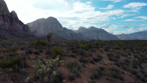 tiro de drone del área de conservación nacional del cañón de roca roja