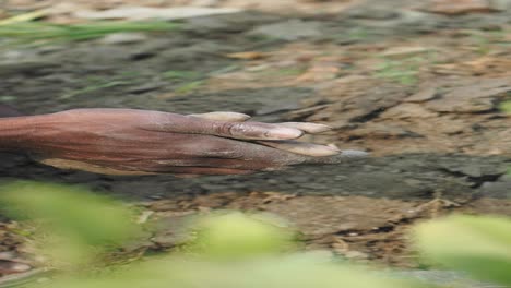 dirty hands of a farmer