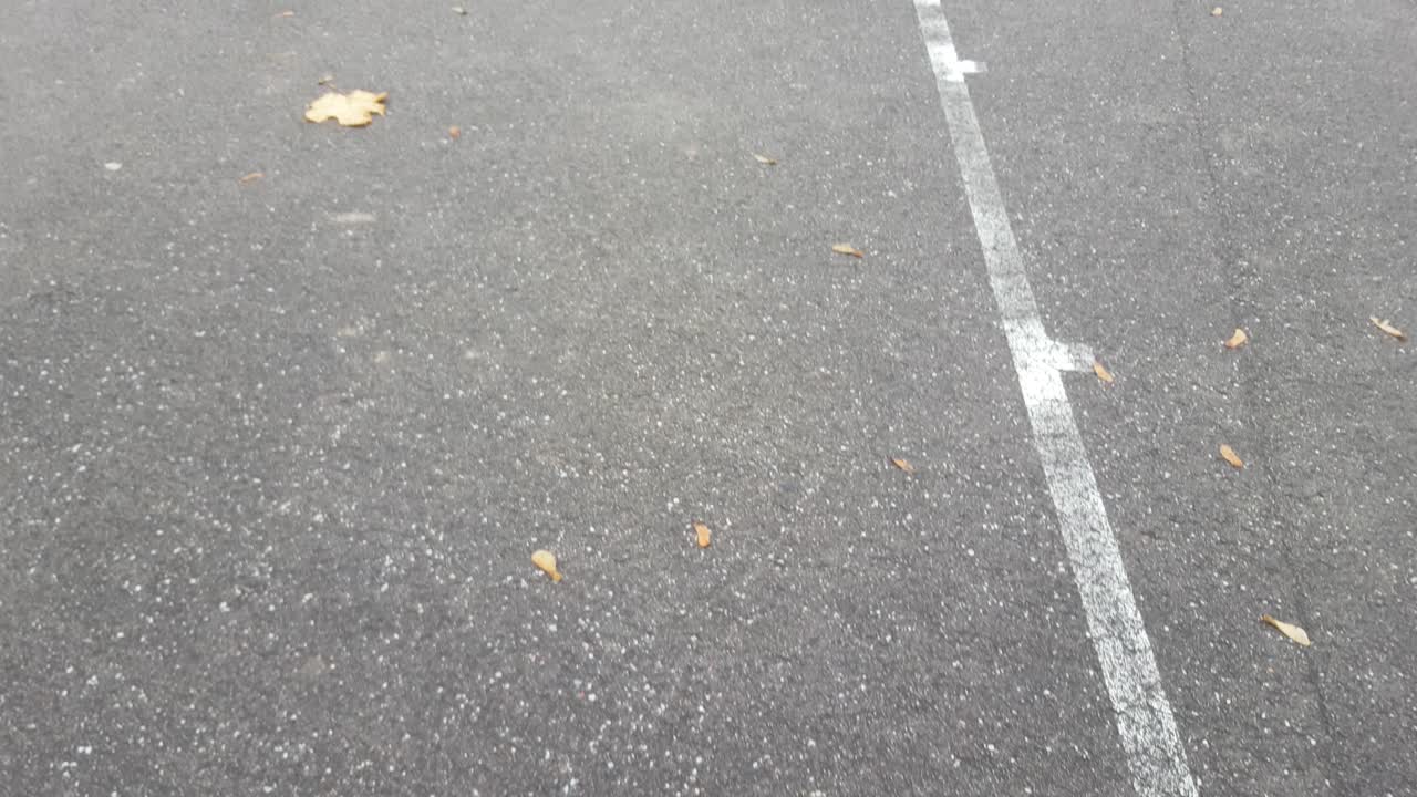 농구 코트 야외 지역 마을