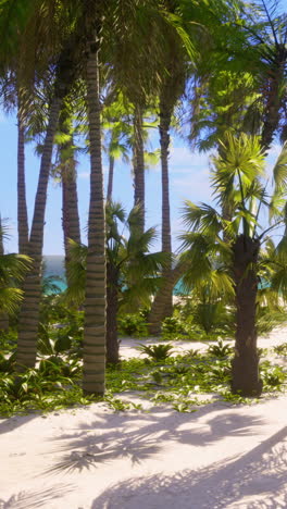 tropical beach with palm trees