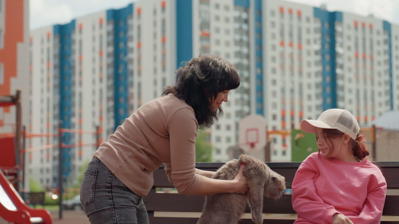 Child Observes Woman Presenting Feline, Woman Introduces Her Pet To Child Who Is Watching Carefully, An Adult Woman Demonstrates Her Feline Companion To Young Child Observing With Interest