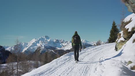 Toma-Trasera-De-Un-Excursionista-Caminando-Por-Un-Sendero-De-Paisaje-Montañoso-Nevado-En-Valmalenco,-Estático