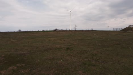 Dünnes-Pferd,-Das-Auf-Dem-Feld-Mit-Windpark-Im-Hintergrund-Isst