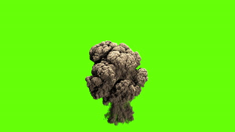 explosive smoke plume on green screen