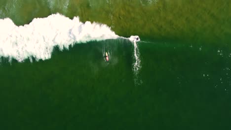 drone aerial shot of surfers paddling and surfing wave at terrigal beach central coast nsw australia 3840x2160 4k