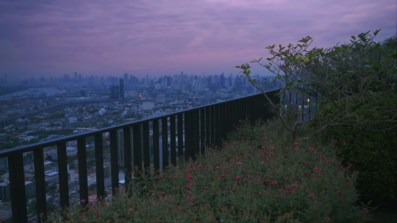 jardín en la azotea con el horizonte de bangkok y la puesta de sol rosada