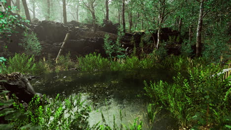 tranquil forest setting with a serene pond surrounded by lush greenery