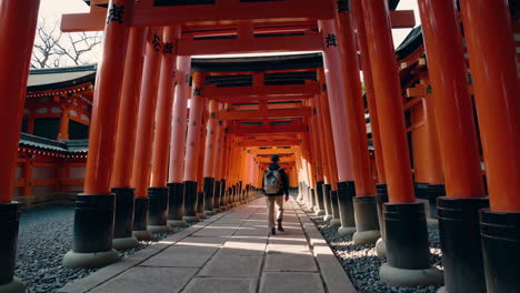 walking through the torii gates of fushimi inari shrine