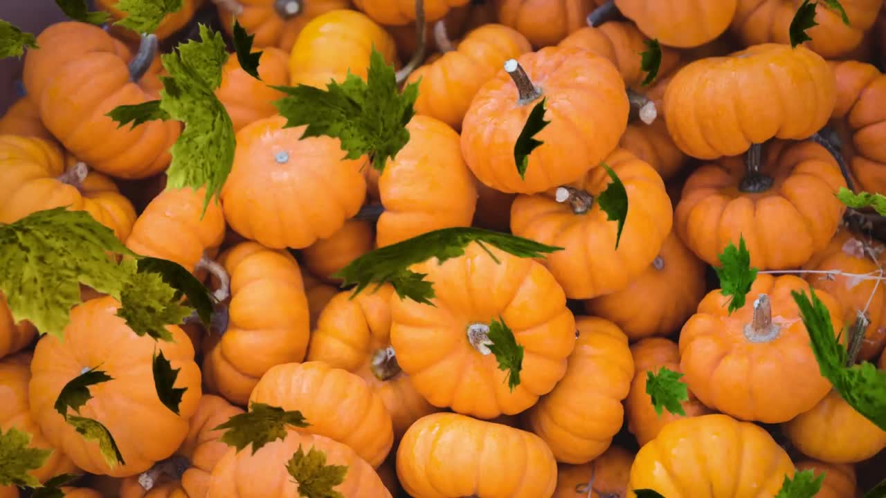 animación de las hojas de otoño que caen sobre calabazas apiladas