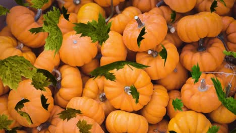 animation of autumn leaves falling over stacked pumpkins