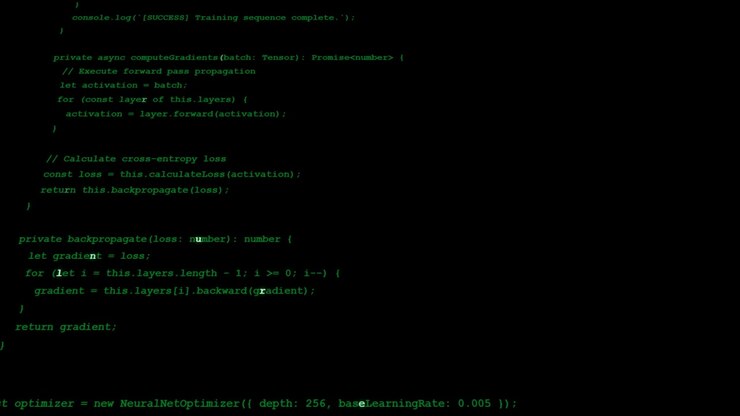 JavaScript Code Displaying Neural Network Optimization Logic