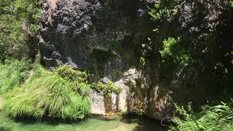 reflections of light on the rocks. beautiful turquoise river inside a gorge with green vegetation. pure waters. rio borosa. cazorla national park. spain