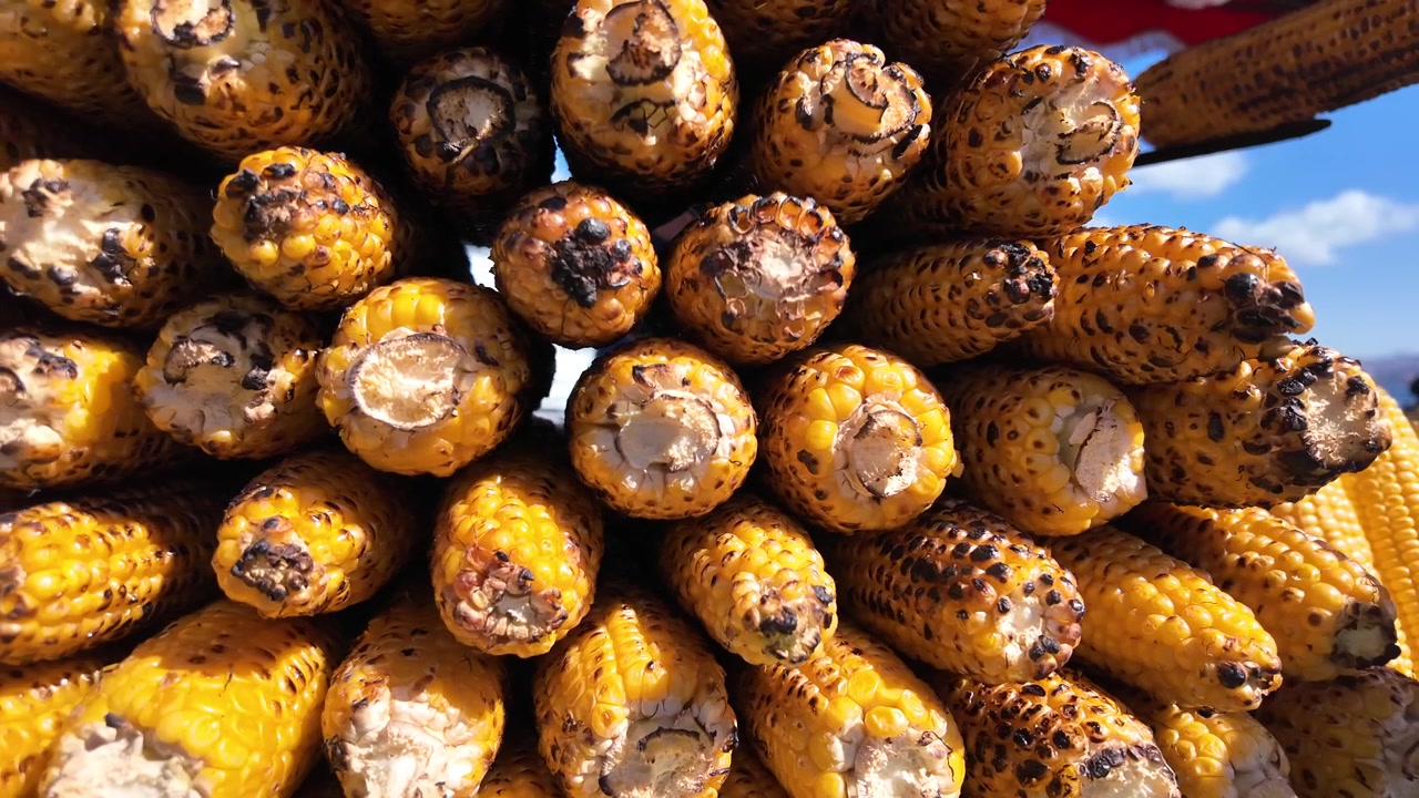 Pile d'épis de maïs grillés sur un marché en plein air