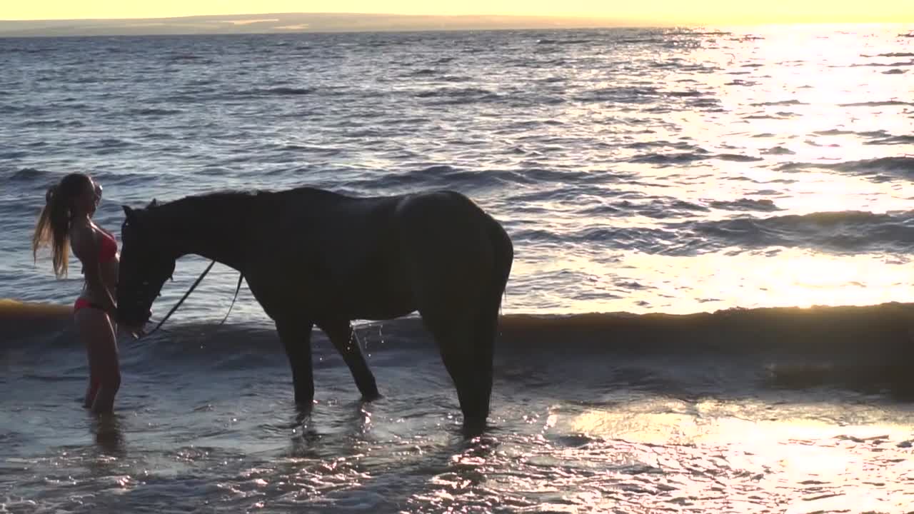 mulher e cavalo na praia do pôr-do-sol
