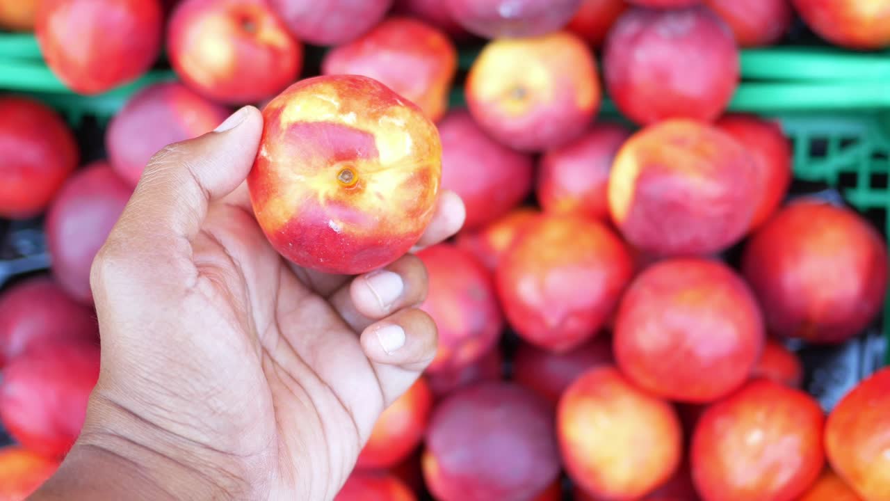 익은 타린 을 들고 있는 손 의 클로즈업