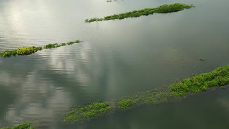 Imágenes-Inversas-De-Los-Bares-De-Tierra-De-Agua,-Vehículos-Y-Personas-Que-Se-Divierten-Con-La-Naturaleza,-Muak-Klek,-Saraburi,-Tailandia