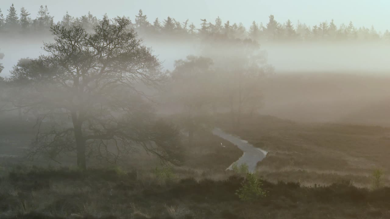시골의 안개 낀 아침