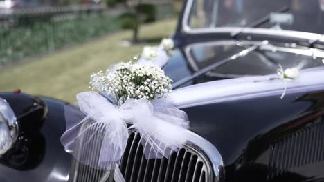 close up of a vintage black wedding car adorned with white flowers and tulle ribbons