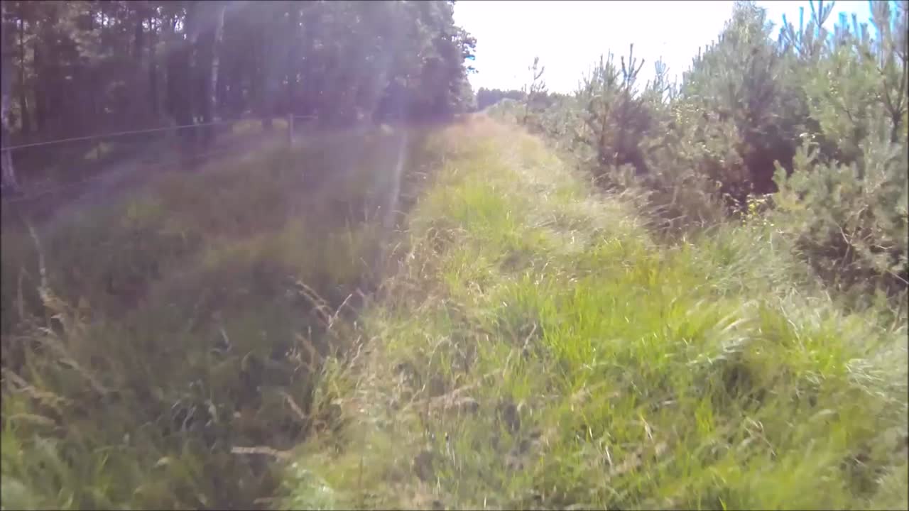 un dron volando alrededor de uno de los miles de bosques del reino unido