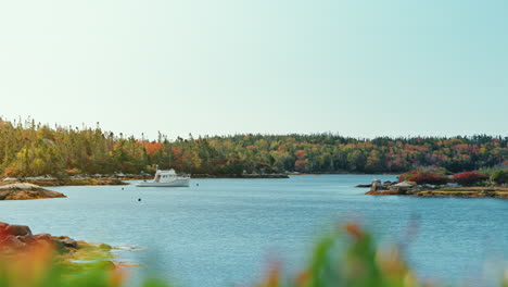 nova scotia’s landscapes.
breathtaking, with rugged coastlines, rolling hills, forests, and charming villages. stunning views and a perfect blend of nature, beauty, and serenity.