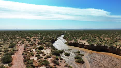 arroyo cache en el desierto de mojave que fluye con agua