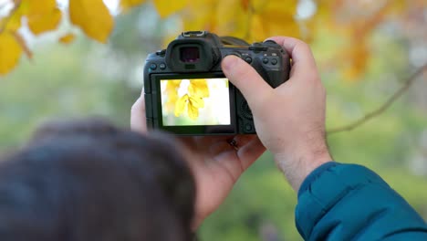 Hombre-Tomando-Fotos-De-Hojas-Amarillas-Durante-El-Otoño-En-El-Parque-Con-Cámara