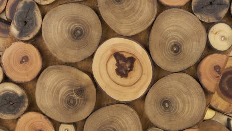 rotation of a decorative panel made of cuts of wooden branches. top view. cut wooden rings, decoration panel