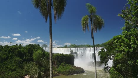 Tall-Standing-Trees-Looking-Over-Wide-Waterfall-Cliff-Edge,-Two-Huge-Trees-Hiding-in-Beautiful-Rainforest-Colours,-Amazing-Waterfalls-in-Picturesque-Jungle-Scenery-in-Iguazu-Falls,-Brazil