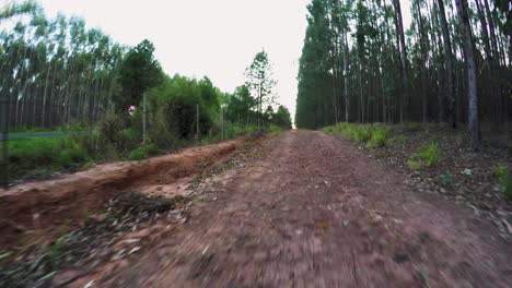 driving on a dirt road on a beautiful sunny day