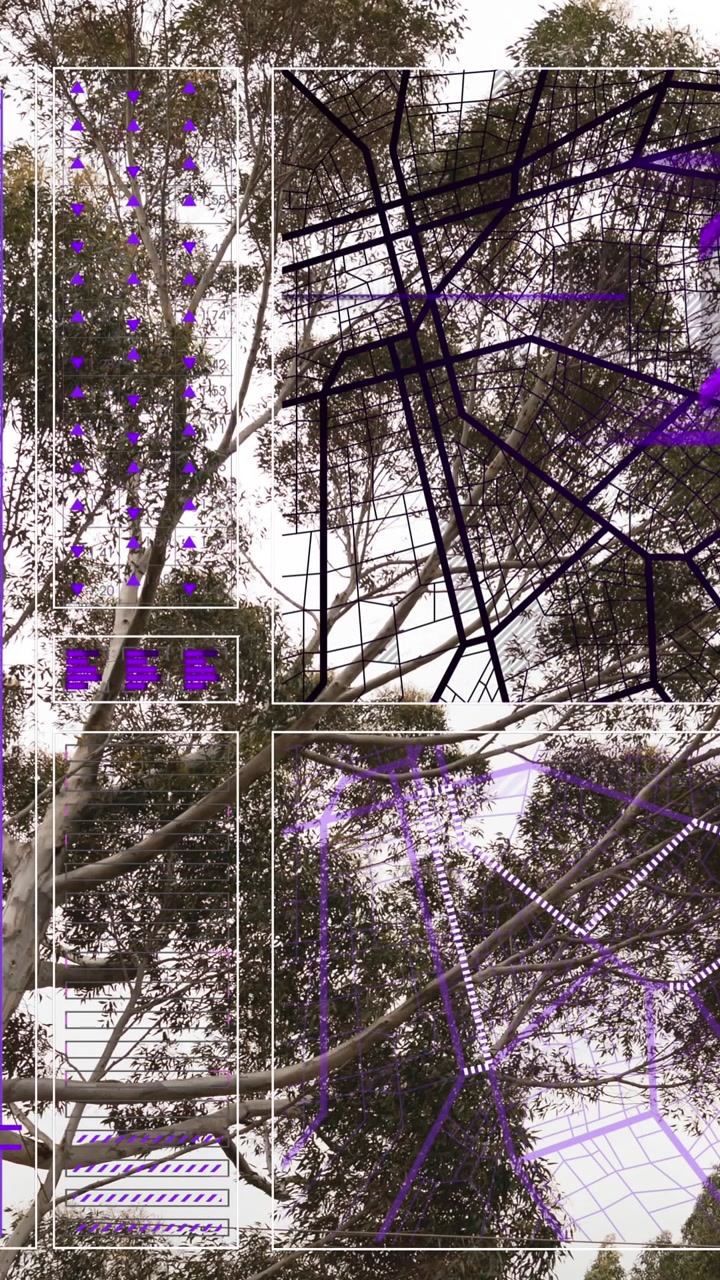 Animazione di interfaccia con elaborazione dati su vista dal basso di alberi contro cielo sereno.