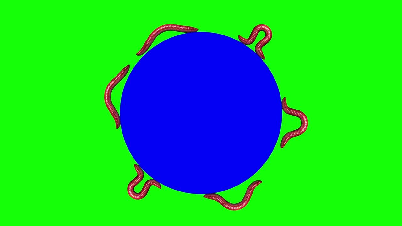 파란 원에 벌레, 루핑 3d 애니메이션