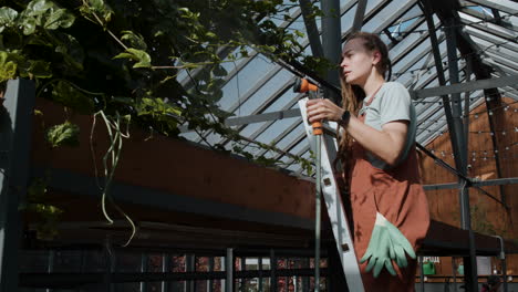 jardinero que trabaja en interiores