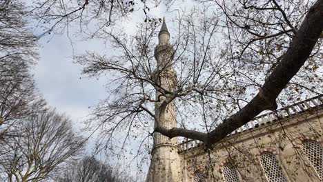 cinematic blue mosque minaret view through tree branches in istanbul turkey