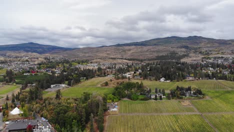 rare drone aerial of okanagan wine country