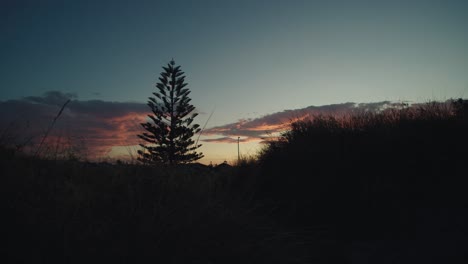 Silueta-De-Un-árbol-Solitario-En-El-Campo-Durante-La-Puesta-De-Sol